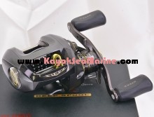 daiwa steez 100hl