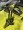 Hobie Mirage Revolution 11 – Seagrass Green