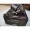 DAIWA TOURNAMENT SURF BASIA 45QD II